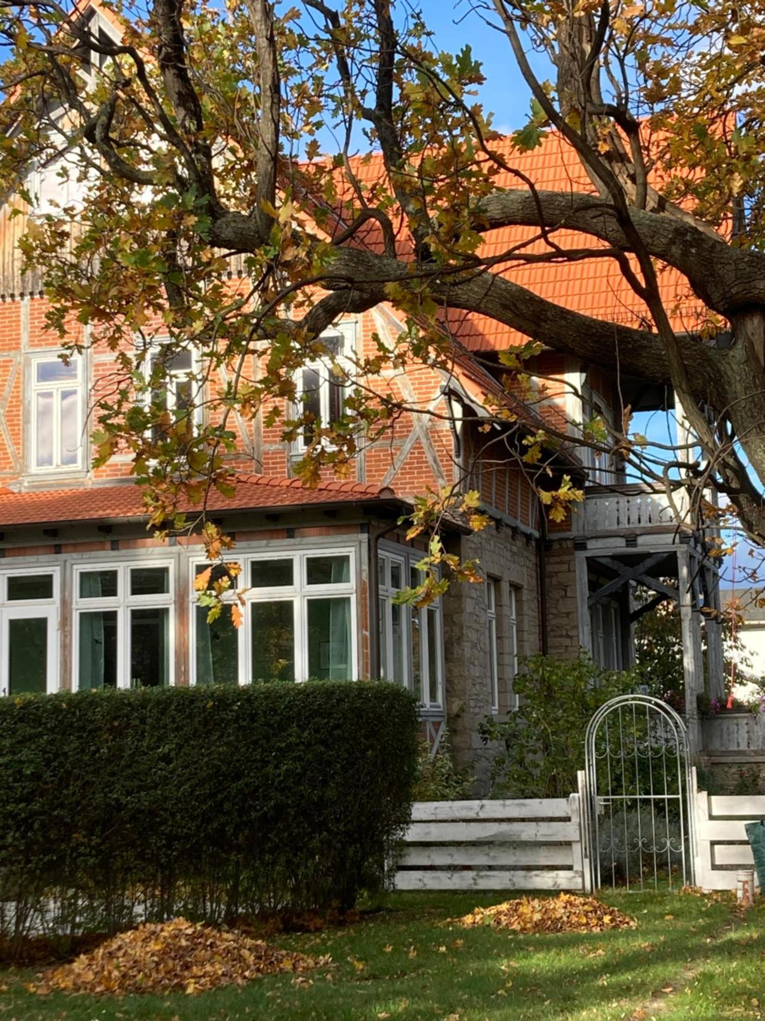 Gaestehaus Musestieg Thale Exterior photo