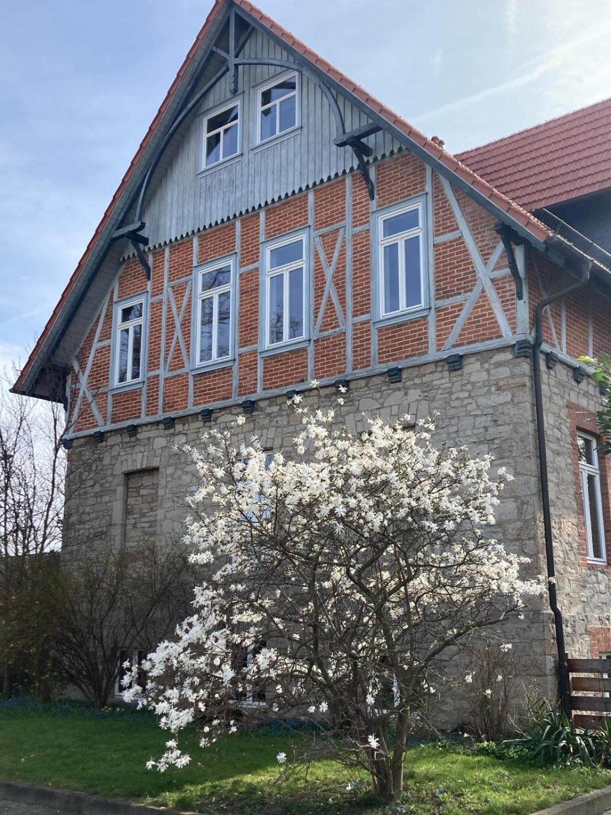 Gaestehaus Musestieg Thale Exterior photo